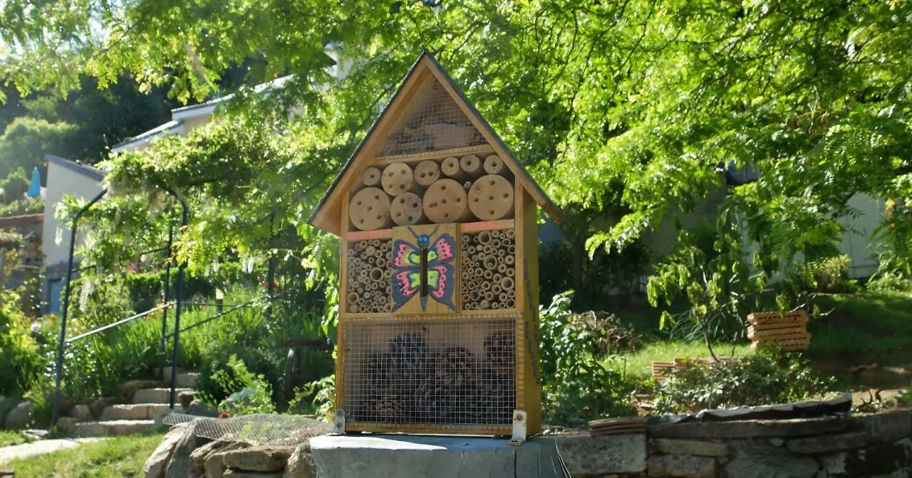 La Cadanise, Suite Etoilee Saint-Éloy-les-Mines Frankrijk
